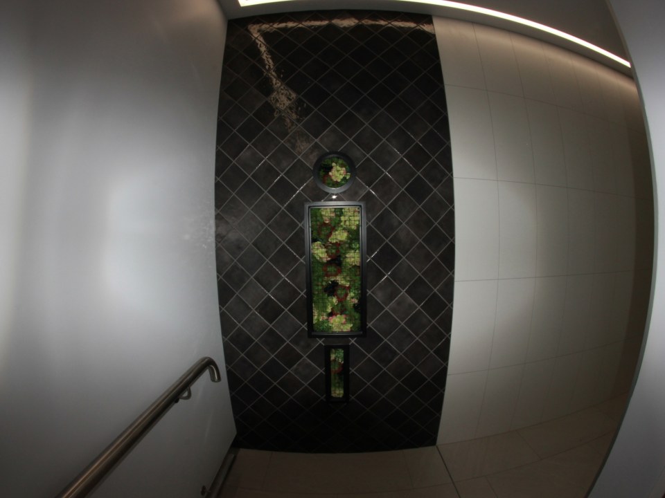 Entrace To Toilet Block Te Awa The Base Hamilton